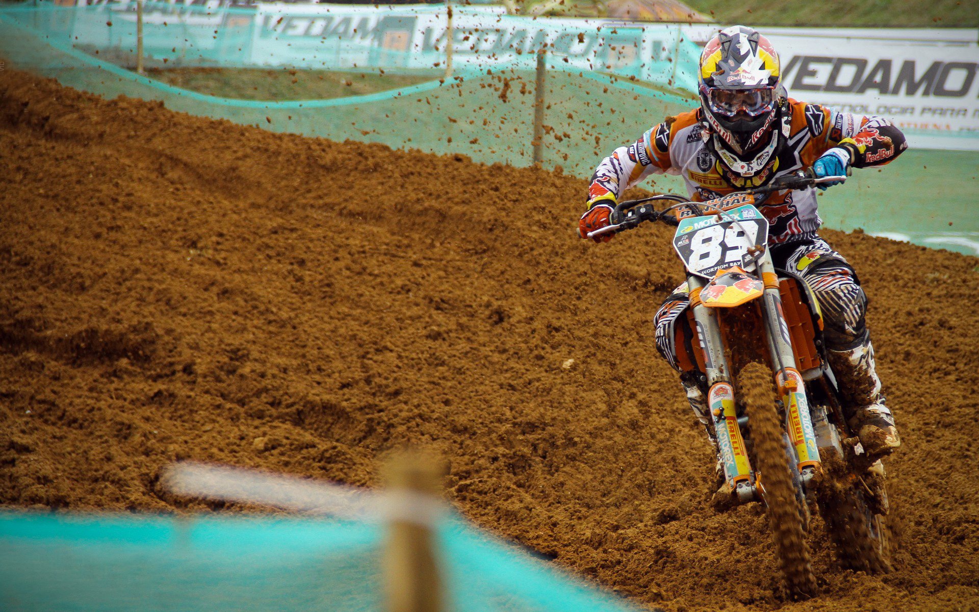 从潘帕斯到北伦敦，拉亚在重压下绽放，阿根廷铁血终结郁金香神话