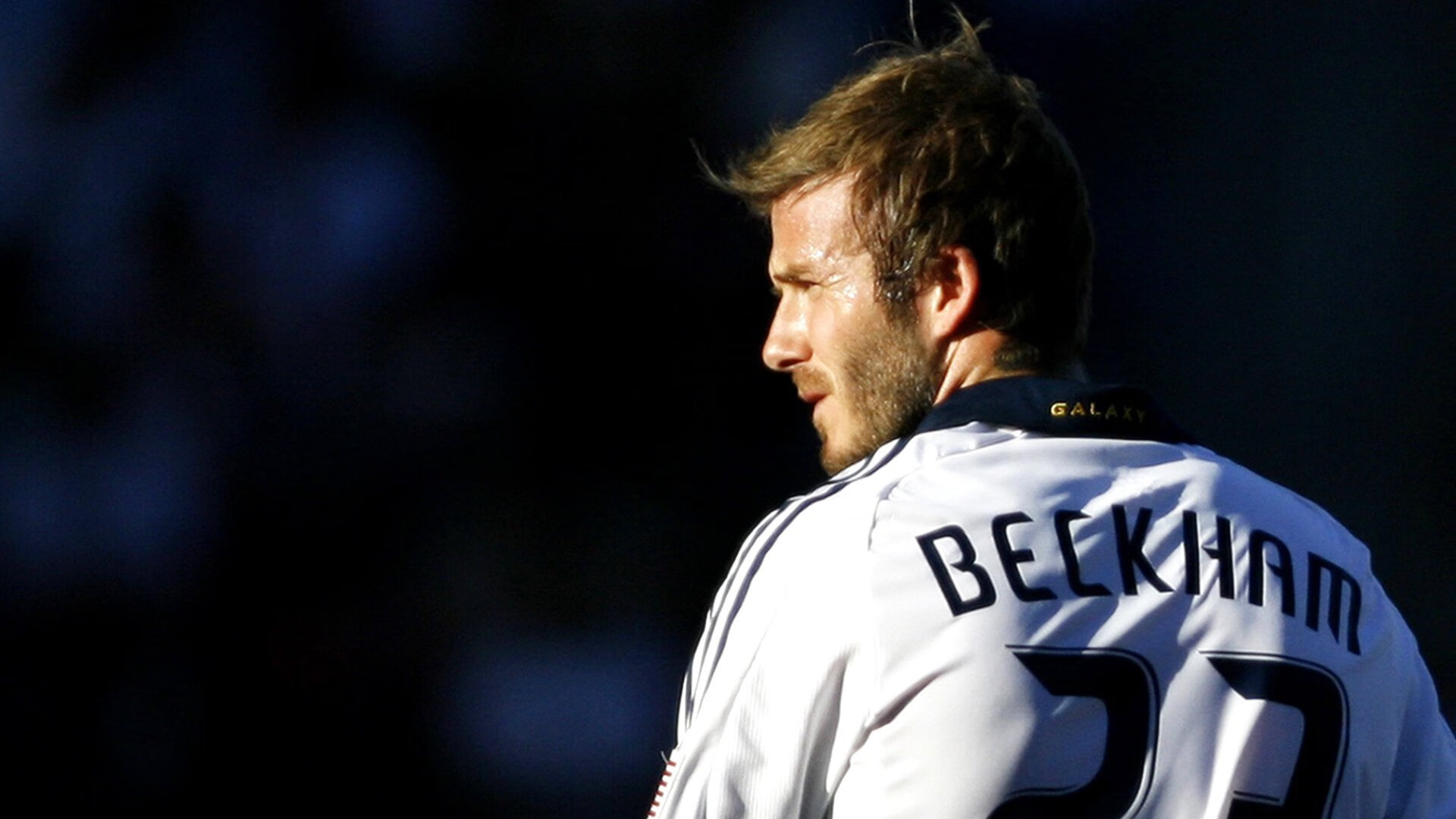 绿茵场上的铁血碾压，乒乓球台前的惊艳风暴—葡萄牙与樊振东的双重奏