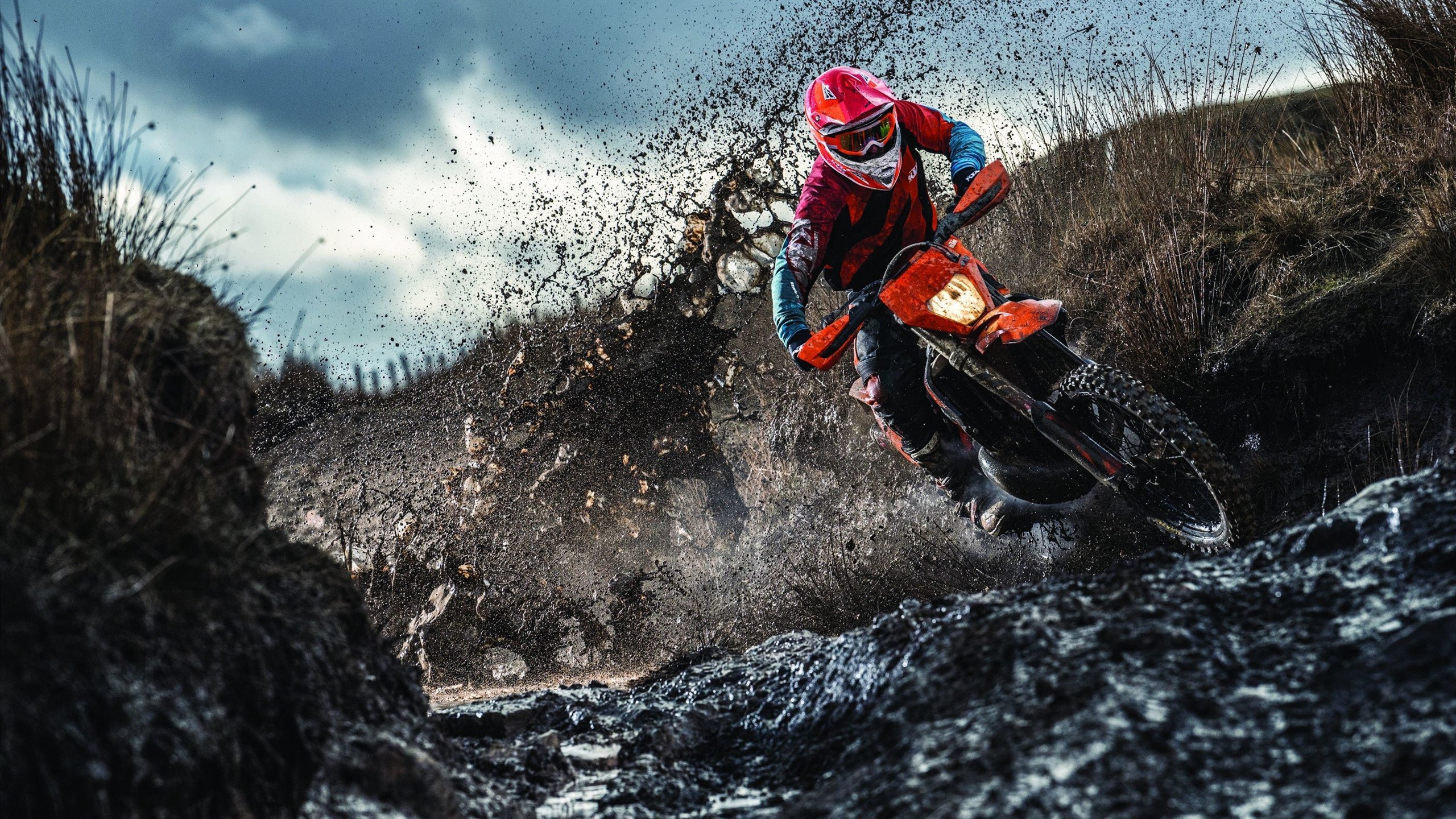 瑞典队完胜中国队，樊振东高光表现难挽狂澜